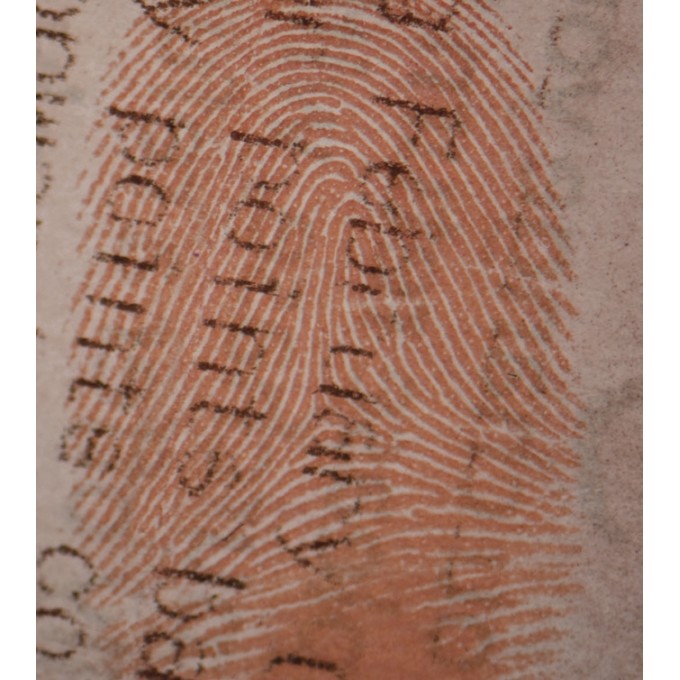 Incinta vaporizare Ninhidrina in Vid - AminoVac